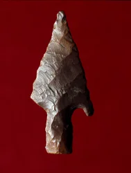 Antichità egizia: punta di freccia dal sito di Fayoum (Fayyum) in Egitto. Periodo predinastico. Verona, Museo Civico di Storia Naturale