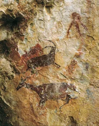Scena di caccia con un cervo e uno stambecco (25000-15000 a.C.). Paleolitico superiore. El Perello, grotta di La Cabra Freixet.