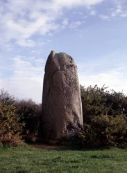 Menhir nella penisola di Rhuys (56)