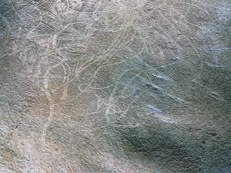 Immagini di contorno di figure umane femminili e mammut, periodo paleolitico (40000-12000 a.C. circa) (foto)