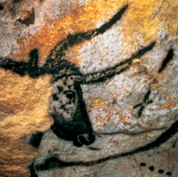 Pittura parietale raffigurante un uro (bovino estinto), Sala dei Tori, grotta di Lascaux, Montignac, Dordogna, Francia, periodo Magdaleniano Paleolitico