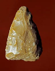 Preistoria: strumento di fabbricazione litica della cultura campignana, Gargano, Italia. Calcolitico