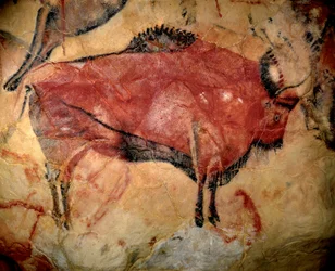 Preistoria, arte del Paleolitico superiore: un bisonte o uro, pittura parietale nella grotta di Altamira (Spagna)