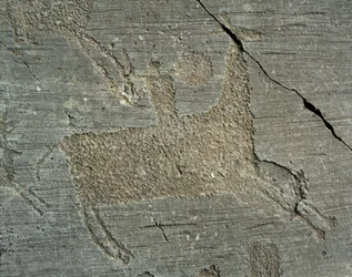 Preistoria, civiltà Camunni, arte rupestre: roccia tombale raffigurante un guerriero a cavallo con uno scudo. Periodo tra il Neolitico e l