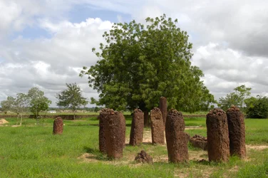 Preistoria: cerchio megalitico di pietre di Wassu, Gambia (foto)