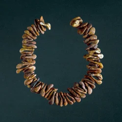 Preistoria, Età della pietra: collana di ossa proveniente dalla grotta di Polesine, Veneto. Roma, Museo Nazionale Preistorico Etnografico Luigi Pigorini