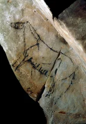Preistoria: un cavallo. Pittura rupestre di stile IV, Paleolitico superiore (Magdaleniano) (tra 18000 e 14000 anni fa). Grotta di Las Monedas, Santander, Spagna