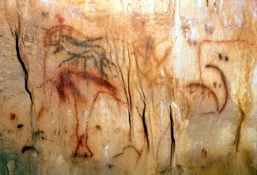 Preistoria: un uomo ferito