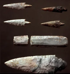 Preistoria: punte di freccia e selce dalla necropoli di Cantalupo-Mandela (Cantalupo Mandela), Lazio. Età del Rame. Eneolitico. 2200 a.C. Roma, Museo Nazionale Preistorico Etnografico Luigi Pigorini