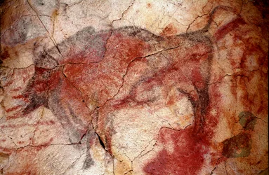 Preistoria: "bisonte a riposo" pittura rupestre del Paleolitico Superiore (Magdaleniano) (tra 16500 e 14000 anni fa) Bison Cave, Altamira, Santander, Spagna