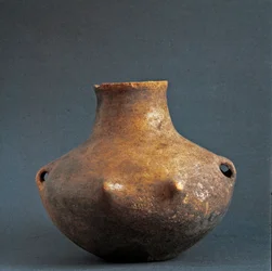 Preistoria, cultura di Rinaldone (Montefiascone): vaso in terracotta dalla necropoli di Rinaldone. Età del rame. Eneolitico. 2200 a.C. Roma, Museo Nazionale Preistorico Etnografico Luigi Pigorini