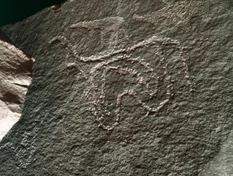 Preistoria, arte rupestre: rappresentazione di un bovino