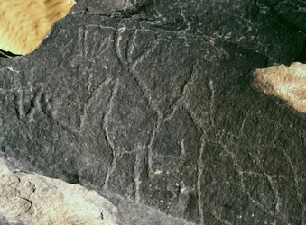 Preistoria, arte rupestre: roccia incisa. Età della pietra 5000-2000 a.C. Taghit, Haut plateau du Hoggar (Ahaggar), Algeria