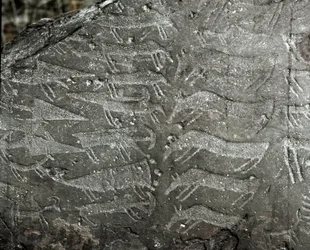 Preistoria, arte rupestre: roccia tombale con rappresentazioni di pugnali, buoi