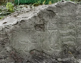 Preistoria, arte rupestre: roccia tombale con rappresentazioni di cervi, bovini. Età del rame. Periodo Eneolitico (calcolitico). Roccia n. 1. Cemmo (Brescia)