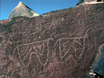 Preistoria, arte rupestre: roccia tombale con la rappresentazione di bovini (stile Tazina)