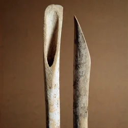 Preistoria: strumenti per rimuovere la corteccia dalle ossa di stinco di capra e pecora dalla necropoli di Arene Candide, Liguria. Neolitico medio, età della pietra