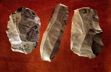 Preistoria: asce scolpite non levigate. Era Neolitica. Saint Germain en Laye, Museo delle Antichità Nazionali