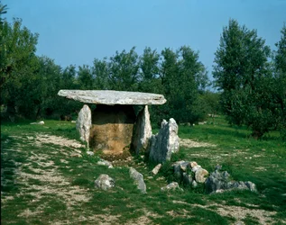 Preistoria: vista del dolmen di Chianca con il suo corridoio d