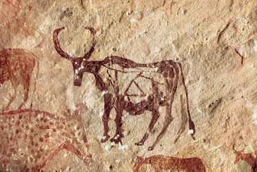 Pittura rupestre: rappresentazione di un cervide. Grotta di Tadrart Acacus, Libia