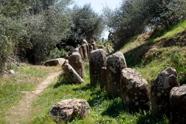 Il sito archeologico del cromlech M Zora, a Sidi El Yamani (Marocco)