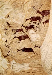 Immagine sconosciuta