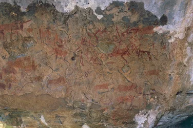 Animali selvatici (pittura rupestre)