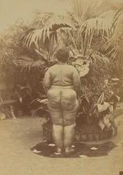 [Donna sudafricana, nudo]
