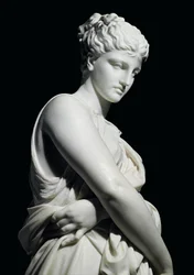 Buona reputazione