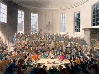 Il regio recinto per combattimenti di galli, Birdcage Walk, St James, illustrazione da «Ackermann