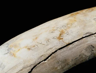 Arte punica (cartaginese): difesa d