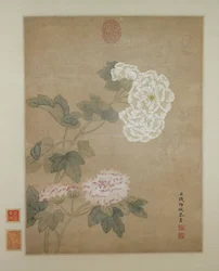 Fiori