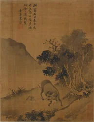 Ragazzo pastore che tira un bufalo d