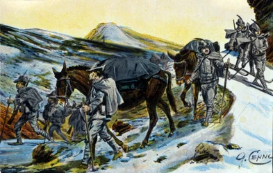 Prima Guerra Mondiale: gruppo di cacciatori alpini italiani in ricognizione con i loro muli nel 1915 (illustrazione di Quinto Cenni)