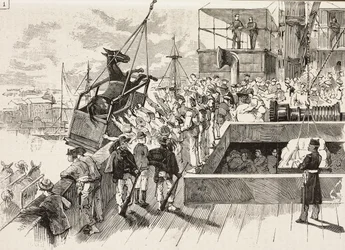 Un mulo viene caricato sulla nave Principe Amedeo, spedizione italiana nel Mar Rosso, Italia, incisione da un disegno di Quinto Cenni e schizzo di M Dal Don, da L