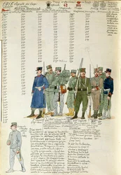 Uniformi del corpo della Milizia Territoriale del Regno d