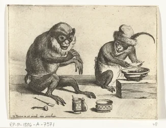 Una scimmia applica una benda Diverse attività della vita umana rappresentate dalle scimmie (serie) il Gioco delle scimmie nel mondo (serie)