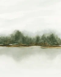 Riflesso nella foresta nebbiosa
