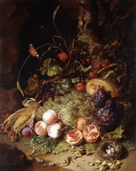 Natura morta con frutta e insetti