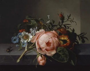 Natura morta con ramo di rosa, scarabeo e ape, 1741