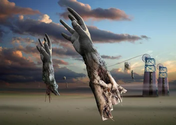 Mani surreali nel deserto