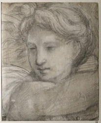 Testa di un Angelo, c. 1520