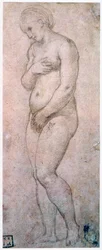 Studio di Venere, c1500-1520