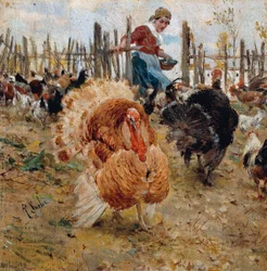 Pasto di tacchino