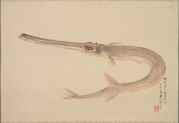 Pesce ago Yagara, 1870