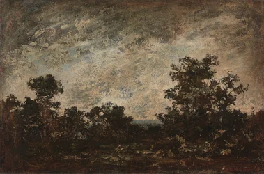 Campo indiano, c.1890