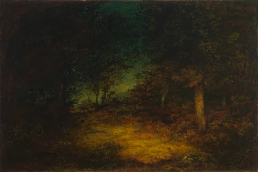 Interno del bosco