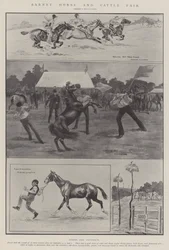 Fiera di Cavalli e Bovini di Barnet