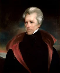 Testa di Andrew Jackson