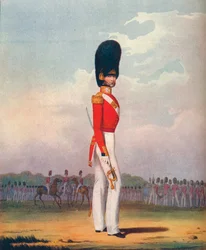 Ufficiale, Grenadier Guards